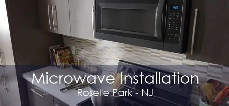 Microwave Installation Roselle Park - NJ