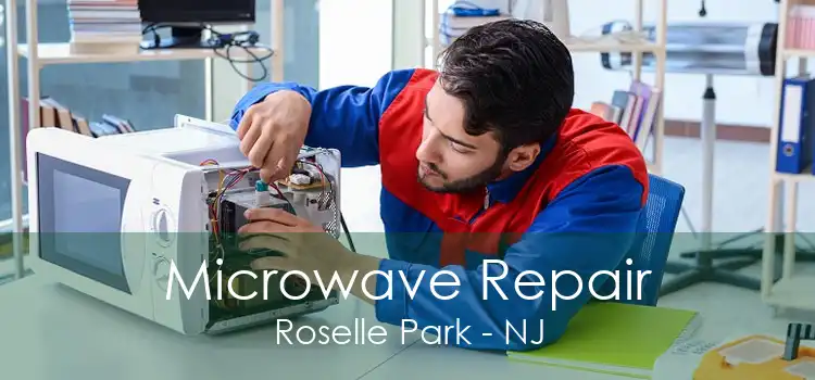 Microwave Repair Roselle Park - NJ