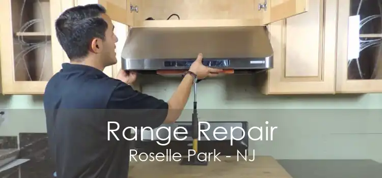 Range Repair Roselle Park - NJ