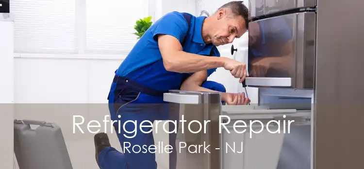 Refrigerator Repair Roselle Park - NJ