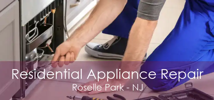 Residential Appliance Repair Roselle Park - NJ