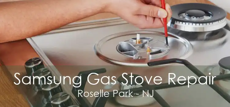 Samsung Gas Stove Repair Roselle Park - NJ