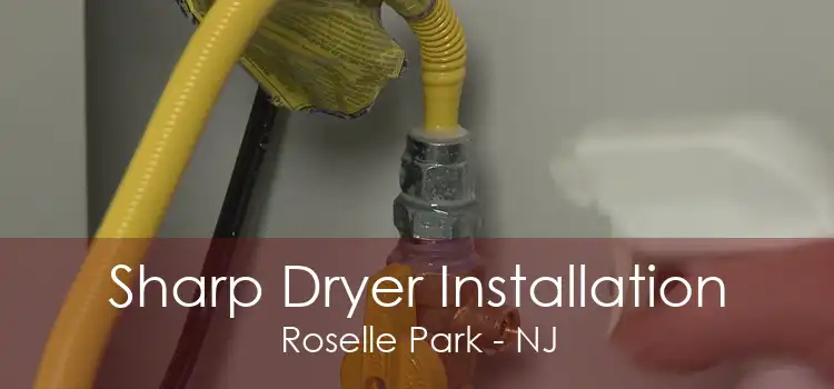 Sharp Dryer Installation Roselle Park - NJ