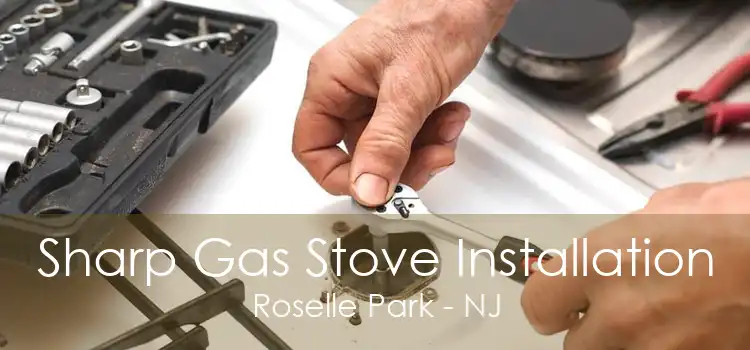 Sharp Gas Stove Installation Roselle Park - NJ