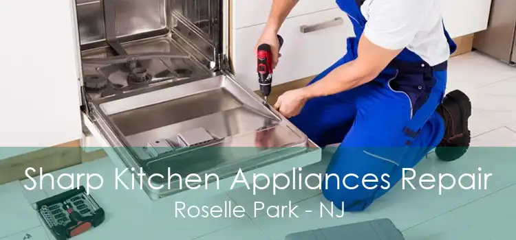 Sharp Kitchen Appliances Repair Roselle Park - NJ