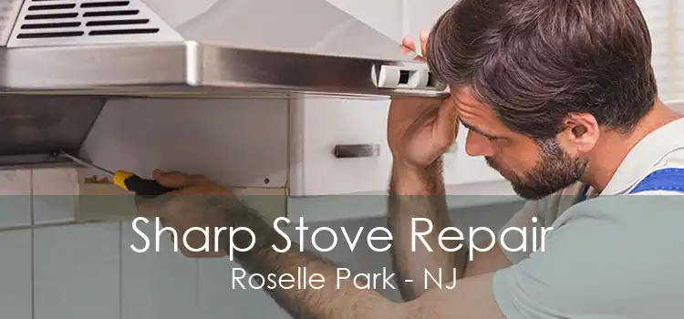 Sharp Stove Repair Roselle Park - NJ