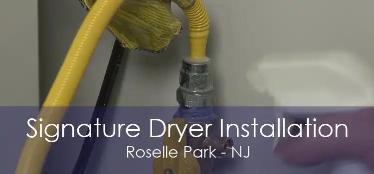 Signature Dryer Installation Roselle Park - NJ