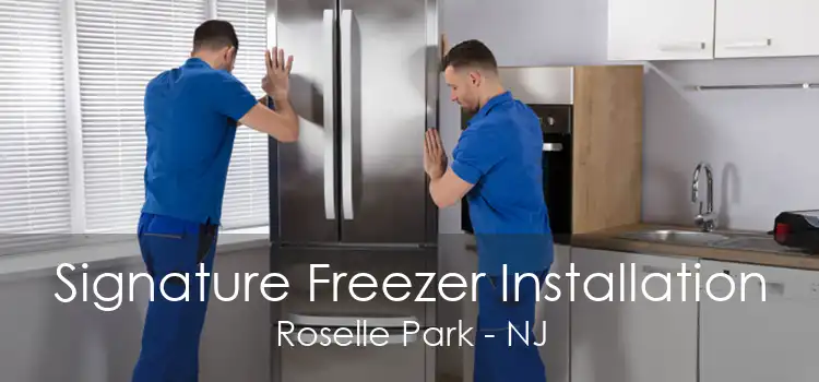 Signature Freezer Installation Roselle Park - NJ