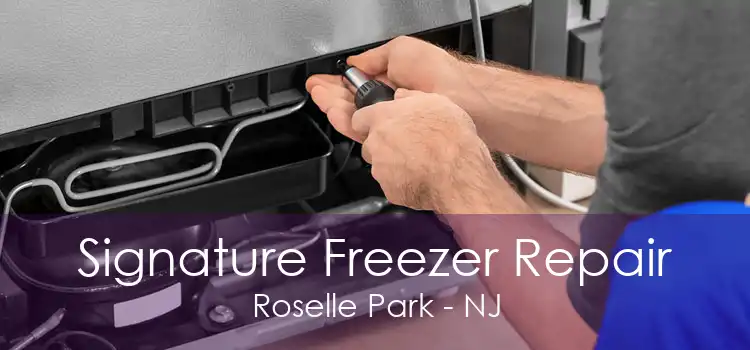 Signature Freezer Repair Roselle Park - NJ