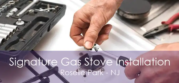 Signature Gas Stove Installation Roselle Park - NJ