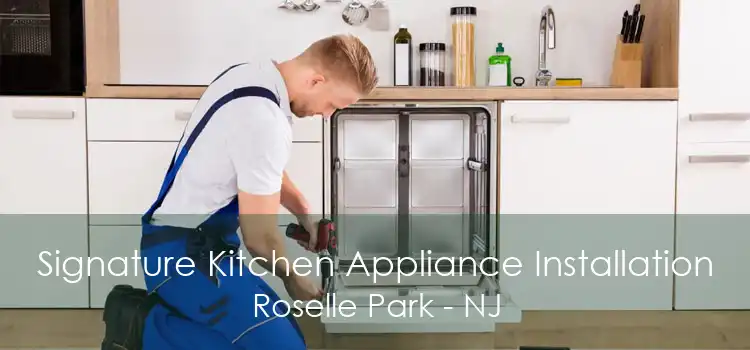 Signature Kitchen Appliance Installation Roselle Park - NJ