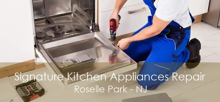 Signature Kitchen Appliances Repair Roselle Park - NJ