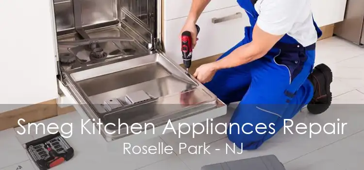 Smeg Kitchen Appliances Repair Roselle Park - NJ