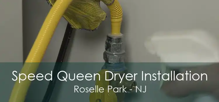 Speed Queen Dryer Installation Roselle Park - NJ