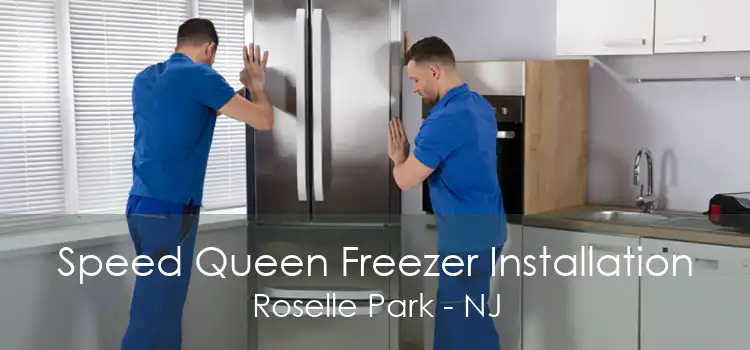 Speed Queen Freezer Installation Roselle Park - NJ