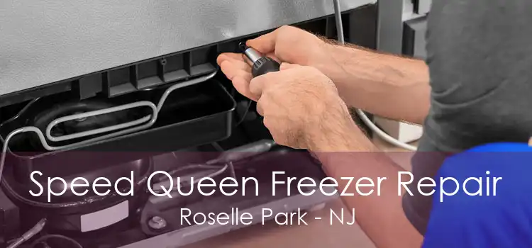 Speed Queen Freezer Repair Roselle Park - NJ