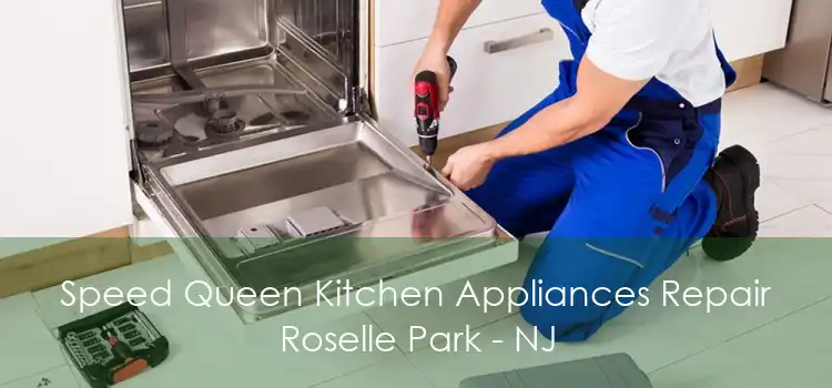 Speed Queen Kitchen Appliances Repair Roselle Park - NJ