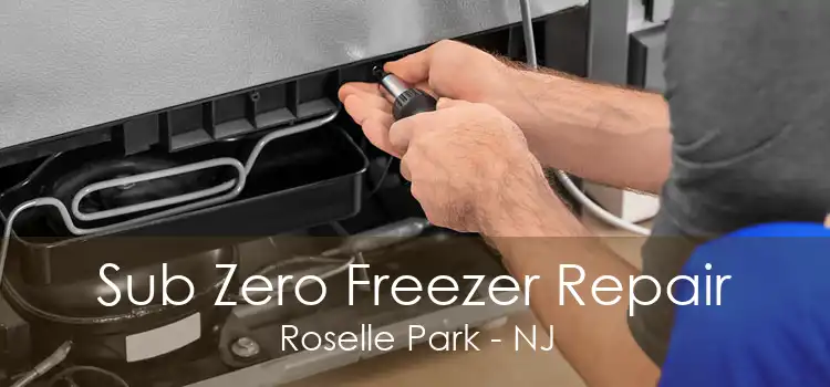 Sub Zero Freezer Repair Roselle Park - NJ