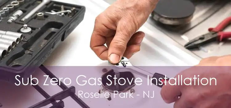 Sub Zero Gas Stove Installation Roselle Park - NJ