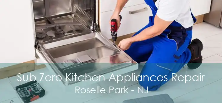 Sub Zero Kitchen Appliances Repair Roselle Park - NJ