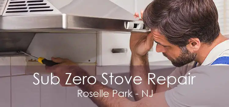 Sub Zero Stove Repair Roselle Park - NJ