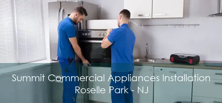 Summit Commercial Appliances Installation Roselle Park - NJ