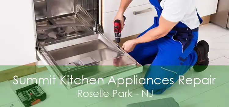 Summit Kitchen Appliances Repair Roselle Park - NJ