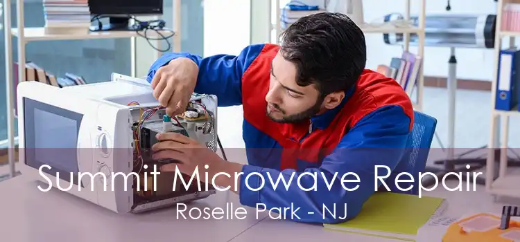 Summit Microwave Repair Roselle Park - NJ