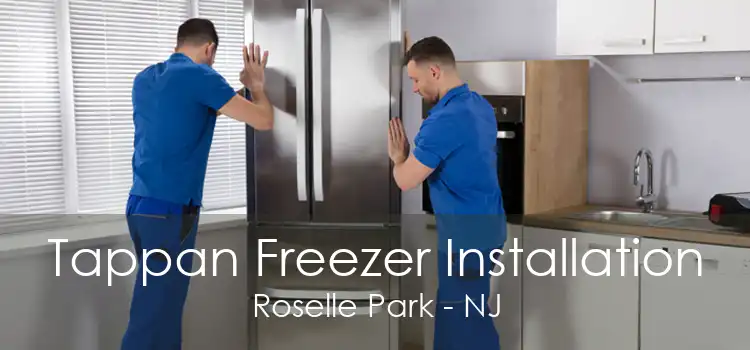 Tappan Freezer Installation Roselle Park - NJ