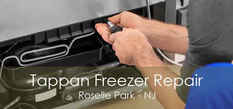 Tappan Freezer Repair Roselle Park - NJ