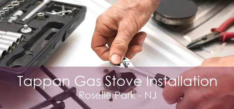 Tappan Gas Stove Installation Roselle Park - NJ