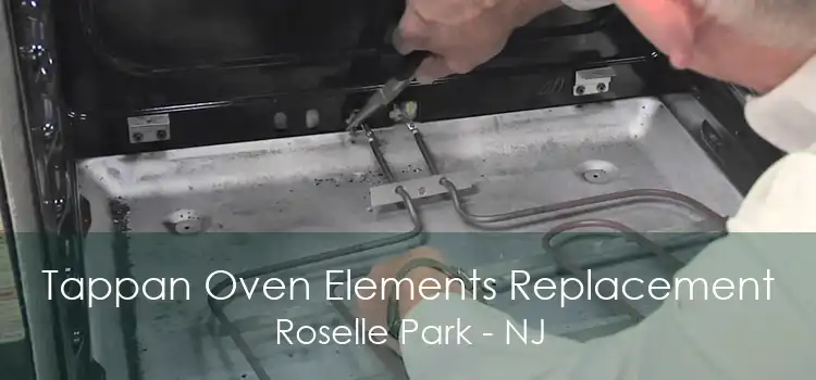 Tappan Oven Elements Replacement Roselle Park - NJ