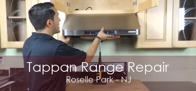 Tappan Range Repair Roselle Park - NJ