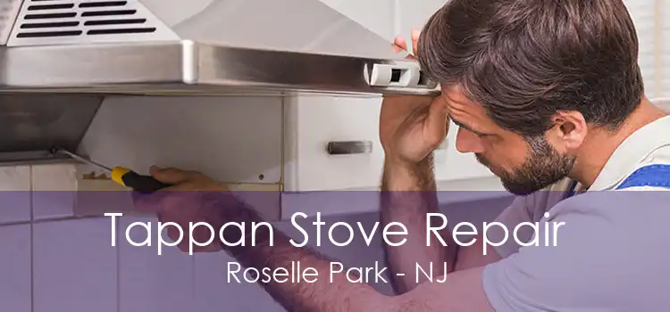 Tappan Stove Repair Roselle Park - NJ