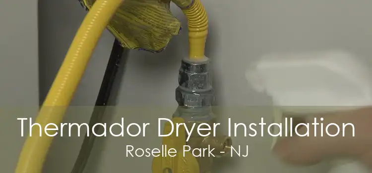 Thermador Dryer Installation Roselle Park - NJ