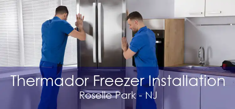 Thermador Freezer Installation Roselle Park - NJ