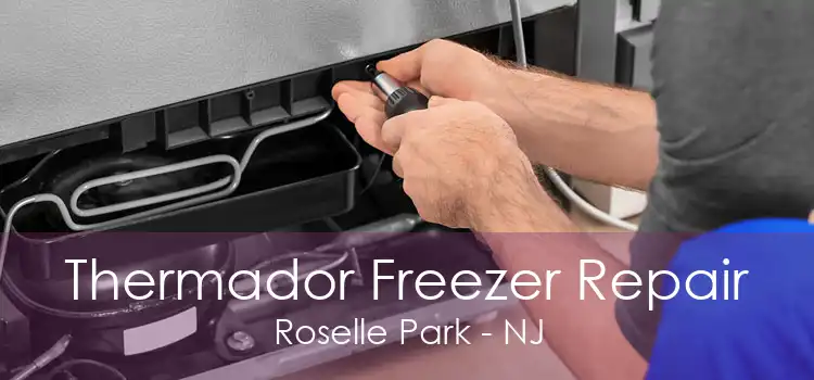 Thermador Freezer Repair Roselle Park - NJ