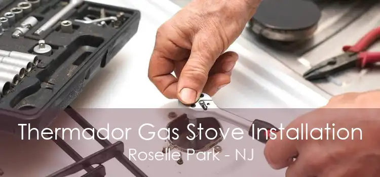 Thermador Gas Stove Installation Roselle Park - NJ