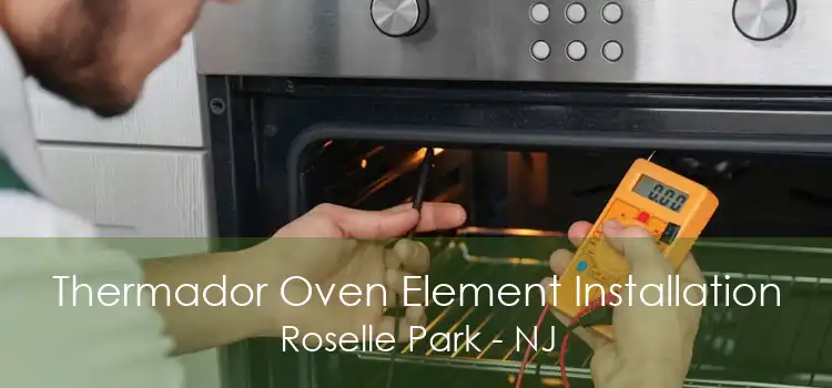 Thermador Oven Element Installation Roselle Park - NJ