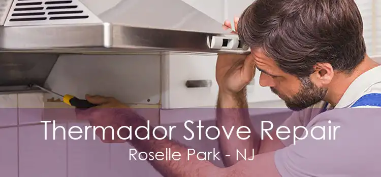 Thermador Stove Repair Roselle Park - NJ