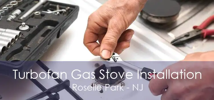 Turbofan Gas Stove Installation Roselle Park - NJ