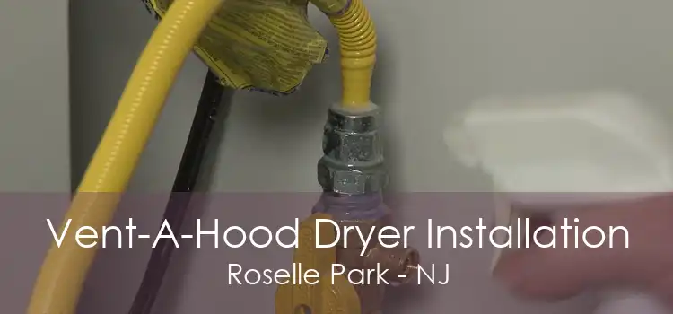 Vent-A-Hood Dryer Installation Roselle Park - NJ