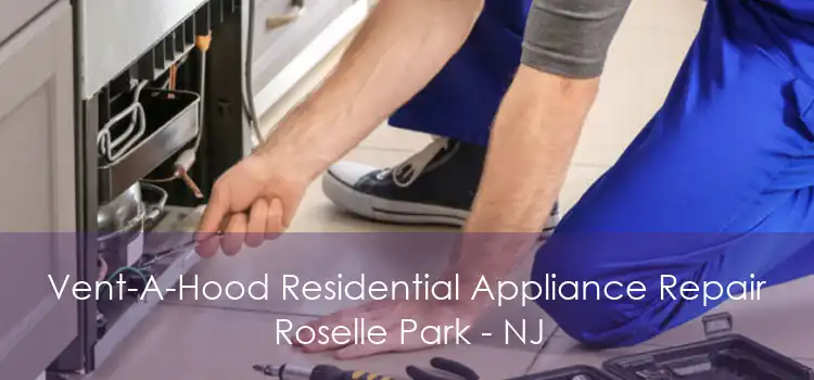 Vent-A-Hood Residential Appliance Repair Roselle Park - NJ