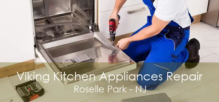 Viking Kitchen Appliances Repair Roselle Park - NJ