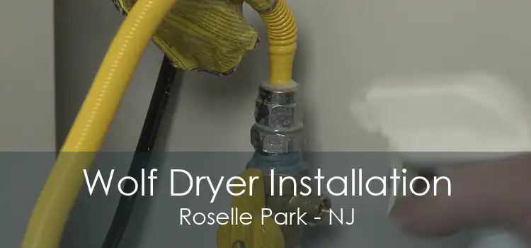 Wolf Dryer Installation Roselle Park - NJ