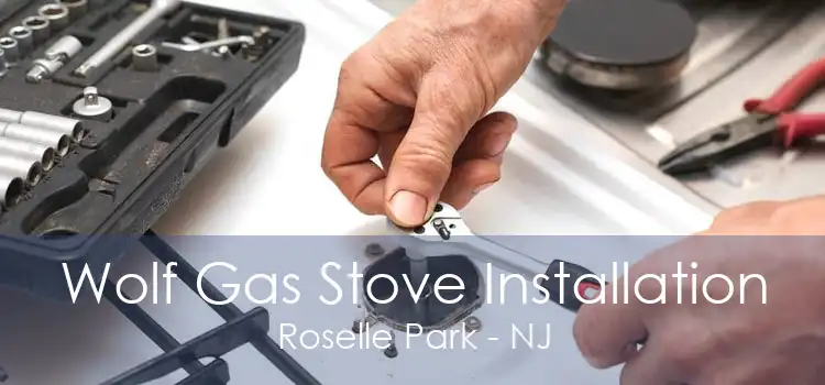 Wolf Gas Stove Installation Roselle Park - NJ