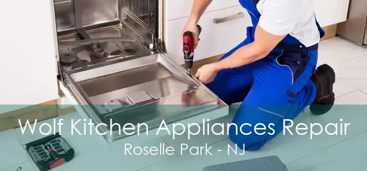 Wolf Kitchen Appliances Repair Roselle Park - NJ