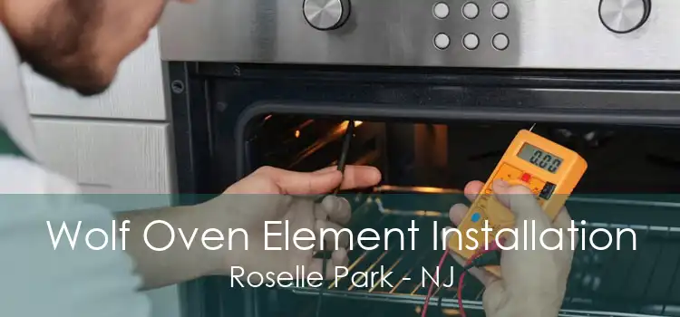 Wolf Oven Element Installation Roselle Park - NJ