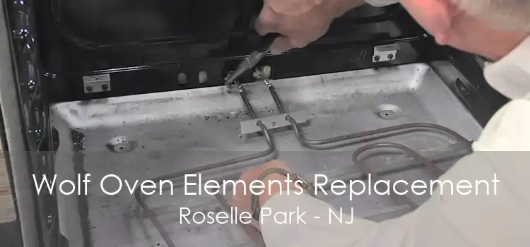 Wolf Oven Elements Replacement Roselle Park - NJ