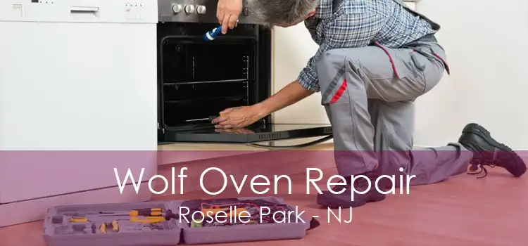 Wolf Oven Repair Roselle Park - NJ